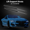 BMW 323i Rear Hatch Lift Supports (2006-2011)