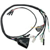 Honda Sportrax 300 TRX300EX Wiring Harness 2x4 (1993–2004)