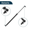Honda CR-V Rear Window Lift Supports Struts Gas Spring (2002-2006)