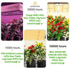 Indoor Plants 1000W LED Grow Light Full Spectrum