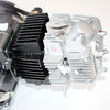 Lifan PIT PRO TRAIL QUAD DIRT BIKE ATV 125cc Manual Clutch Engine