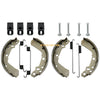 Suzuki King Quad 250 LTF4WDX Front & Rear Brake Shoes Spring Pins (1996–1998)