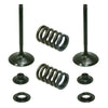Honda TRX450R / TRX450ER Intake Valve (2006–2014)