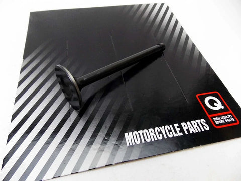 Kawasaki KZ900 LTD Exhaust Valve (1976)