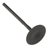 Kawasaki Brute Force 300 Bronco Engine Intake Valve (2012–2025)