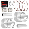 Banshee 350 Pistons & Ring Bearing Kit 64mm (1987–2006)