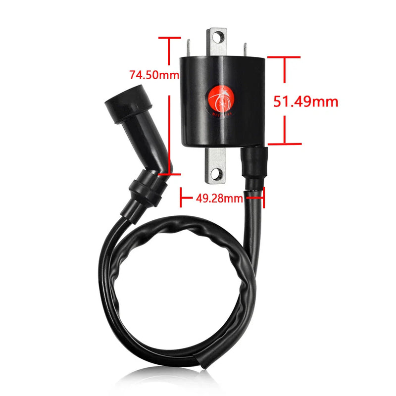 Yamaha V Star 1100 XVS1100 2x Ignition Coil (1999–2009)