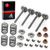 EZGO Golf Cart 295 / 350cc Intake Exhaust Valve Rebuild Kit (1996-2002)