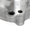 Kawasaki KX 250 F 77mm Cylinder (2009-2019)
