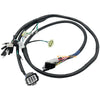 Honda TRX300 Wiring Harness 2x4 4x4 (1997–2000)