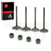 Honda CRF450R Valves & Seals Set (2002–2006)