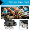 Holden Barina TM 1.6L F16D4 Right Side Engine Mount (2011-2023)