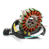 Kawasaki KLX250 D-Tracker Stator (2008-2019)