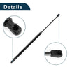 Acura MDX Rear Hatch Lift Supports Struts (2001-2006)
