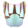 Honda CBR1100XX 1996-2007 Windshield