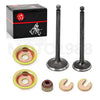 Yamaha Gas Golf Cart G2–G14 Intake Exhaust Valve Kit (1989–1996)