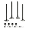 Polaris Ranger Magnum Sportsman Intake Valve (2000-2002)