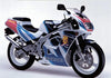 Suzuki RG 125 RG125F Gamma Bolts / Stainless / Fairing & Screen (1992–1996)