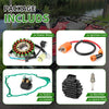 Stator Relay Ignition Coil Gasket Kit Yamaha Big Bear 250