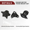 Acura TSX Engine Motor Trans Mount Set (2009-2014)