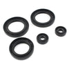 Polaris 400 Xplorer Scrambler (1995-2002), Trail Blazer Gasket Kit (2003)