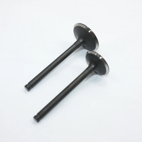 PIT PRO TRAIL DIRT BIKE 140cc Engine Head Intake Exhaust Valves