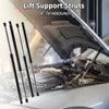 Acura MDX Front Hood & Tailgate Lift Supports Struts (2001 - 2006)