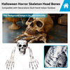 Indoor Outdoor Use Halloween Skeleton Head Bones Decorations