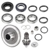 Honda Recon 250 / Sportrax 250 / TRX250X Rear Diff Gears (1997–2011)