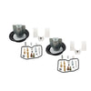 Kawasaki KLE500 Carburetor Repair Kit (1991-2005)