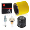 Kawasaki KVF300 Prairie 2x4 4x4 Air Filter Foam Oil Filter (1999–2002)