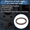 Toyota 4Runner, Pickup, Sienna Rear Crankshaft Oil Seal (1996-2023)