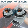 Toyota Tacoma License Plate Light Socket  Pins (1995-2004)