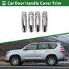 Dodge RAM 1500 Car Door Handle Cover Trim Silver Tone (2002-2008)