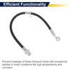 Honda Accord Rear Left Brake Hose (2013-2017)
