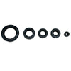 CG250 Air Cooled Dirt Bike ATV 250cc Engine Oil Seal Set