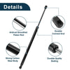 Jeep Liberty Rear Hatch Lift Supports (2002-2007)