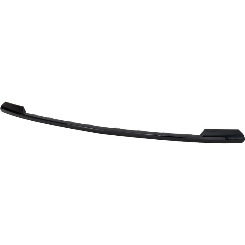 Bumper Face Bar Trim Molding Step Pad Front Lower for