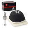 Yamaha TTR125E 2 x Air Filter Element Assembly & Spark Plug (2003–2009)