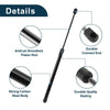 Honda Passport Sport Rear Window Lift Supports (2003-2008)