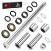 Kawasaki KFX400 Rear Swing Arm Bearing Seal & Pivot Bolt Kit (2003–2006)
