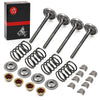 EZGO Robin 350cc Piston & Intake Exhaust Valve & Gasket Kit (1996–2002)