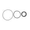 Dodge Ram 5.9L Diesel Vacuum Pump Power Steering Seal Kit (2003-2009)