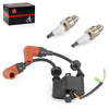 Yamaha Outboard 6-25HP Ignition Coil & Spark Plug
