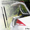 Toyota RAV4 Rear Hatch Lift Supports  Gas Struts (2013-2018)