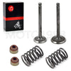 Club Car DS 1992-Up FE290 Intake Exhaust Valve Set w/ Seals & Springs
