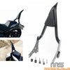 Harley Softail Street Bob FXBB FLDE FLHC 22" Backrest Sissy Bar (2018-2022)