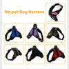 Front Range Puppy Pet No-Pull Dog Harness Vest S-XL
