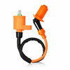 Honda FourTrax 300 TRX300 Ignition Coil CDI & Spark Plug (1998–2000)
