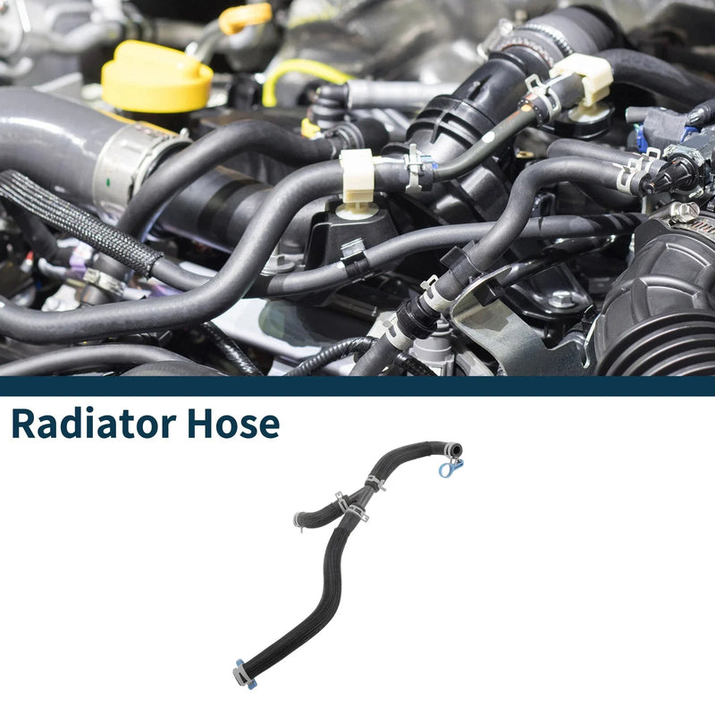 Buick Larcosse Radiator Hose (2016–2018)